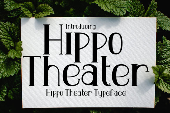 Hippo Theater Font: Elevate Your Brand with Romantic Display Typography
